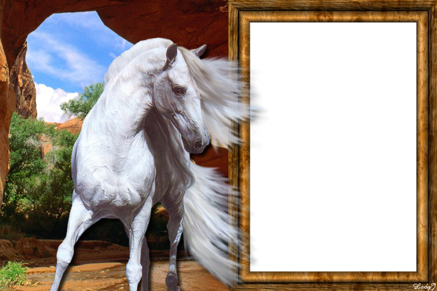 lovas  képkeret, fehér ló